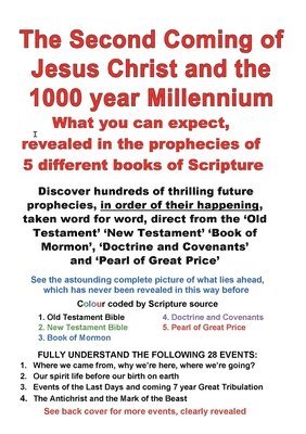 bokomslag Second Coming of Jesus and the 1000 year Millennium