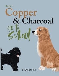 bokomslag Copper & Charcoal go to School