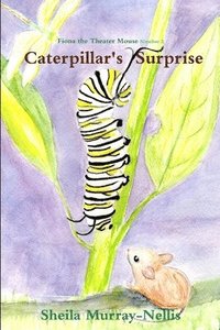 bokomslag Caterpillar's Surprise