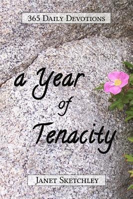 bokomslag Year of Tenacity