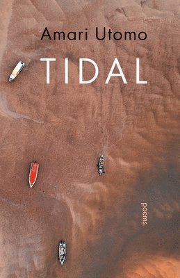 bokomslag Tidal