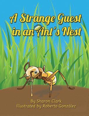 Strange Guest in an Ant's Nest