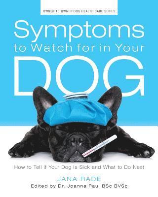 Symptoms to Watch for in Your Dog: How to Tell if Your Dog Is Sick and What to Do Next 1