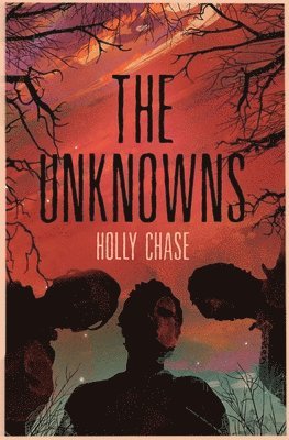 The Unknowns 1