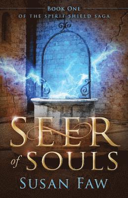 bokomslag Seer of Souls