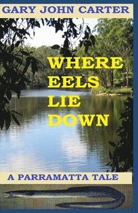 bokomslag Where Eels Lie Down