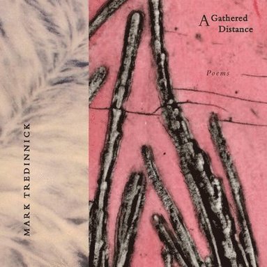 bokomslag Gathered Distance