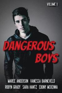 bokomslag Dangerous Boys: Down Under YA Authors Present