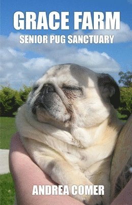 Grace Farm Senior Pug Sanctuary 1