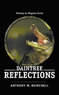 bokomslag Daintree Reflections
