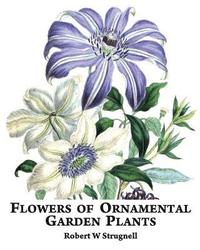 bokomslag Flowers of Ornamental Garden Plants