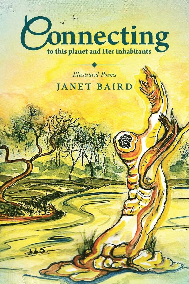 Janet Baird, Janet Baird - Connecting, Häftad