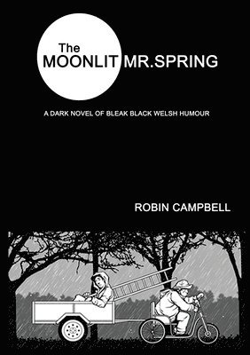 bokomslag The Moonlit Mr Spring