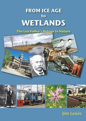 From Ice Age to Wetlands 1