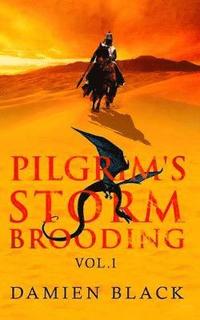 bokomslag Pilgrim's Storm Brooding Volume 1: 1