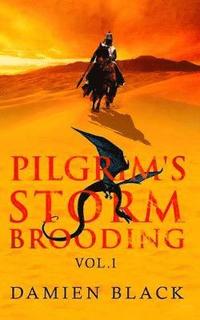 bokomslag Pilgrim's Storm Brooding Volume 1: A Dark Fantasy Epic