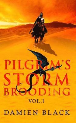 Damien Black - Pilgrim's Storm Brooding Volume 1: A Dark Fantasy Epic, Häftad