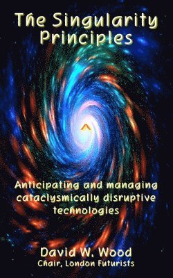 Singularity Principles