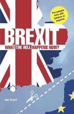 bokomslag Brexit: What the Hell Happens Now?