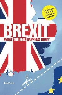 bokomslag Brexit: What the Hell Happens Now?