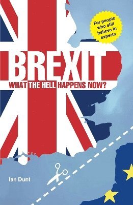 bokomslag Brexit: What the Hell Happens Now?