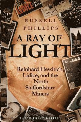 Ray of Light (Large Print)