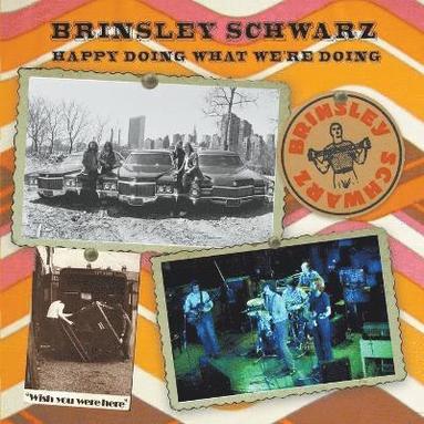 bokomslag Brinsley Schwarz