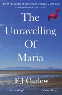 bokomslag The Unravelling Of Maria