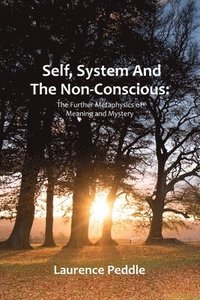 bokomslag Self, System and the Non-Conscious