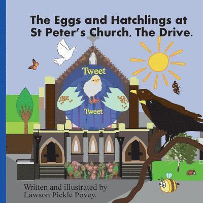 The Eggs and Hatchling at St Peters Church the Drive. 1