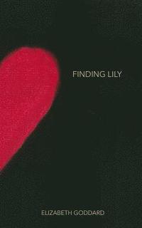 bokomslag Finding Lily
