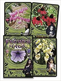 bokomslag Flower Magic Oracle Cards