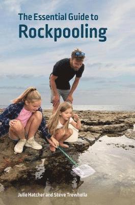 bokomslag The Essential Guide to Rockpooling