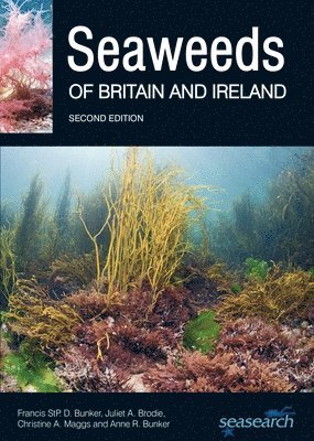 Seaweeds of Britain and Ireland 1