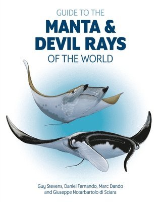 Daniel Fernando, Giuseppe Notarbartolo Di Sciara, Guy Stevens, Marc Dando - Fernando, D: Guide to the Manta and Devil Rays of the World, Häftad