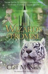 bokomslag The Wizard's Promise