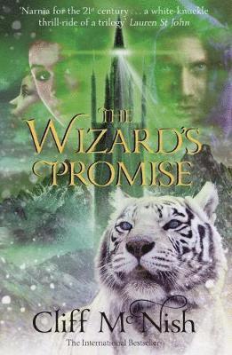 bokomslag Wizard's Promise
