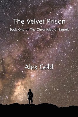 bokomslag Velvet Prison