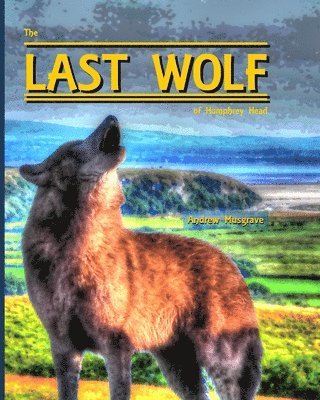 The Last Wolf of Humphrey Head 1