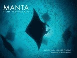 Guy Stevens - Manta: Secret Life of Devil Rays, Inbunden