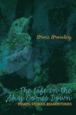 Life in the Sky Comes Down