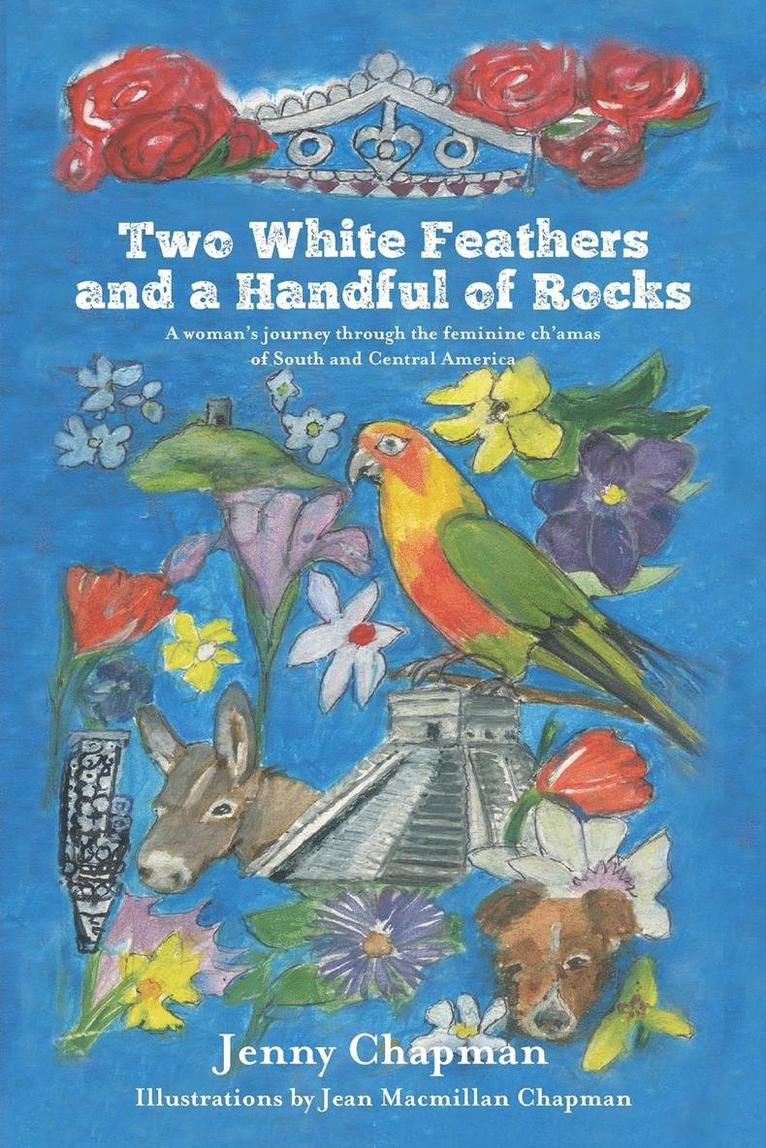 Two White Feathers and a Handful of Rocks 1