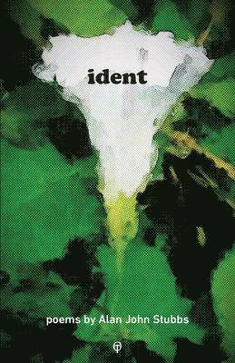 Alan John Stubbs - ident, Häftad