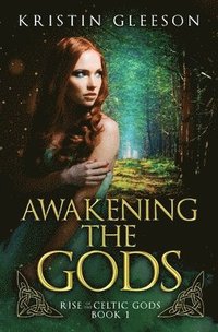 bokomslag Awakening the Gods