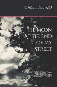 bokomslag Moon At The End Of My Street