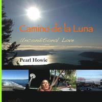bokomslag Camino de la Luna