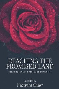 bokomslag REACHING THE PROMISED LAND