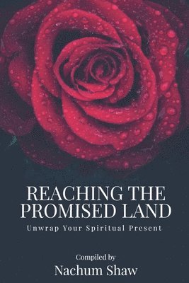 REACHING THE PROMISED LAND 1