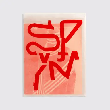 Spin/Adventures in Typography 2, Häftad