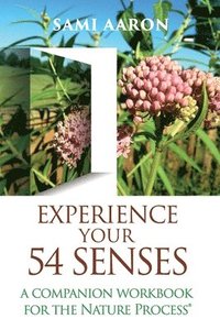 bokomslag Experience Your 54 Senses